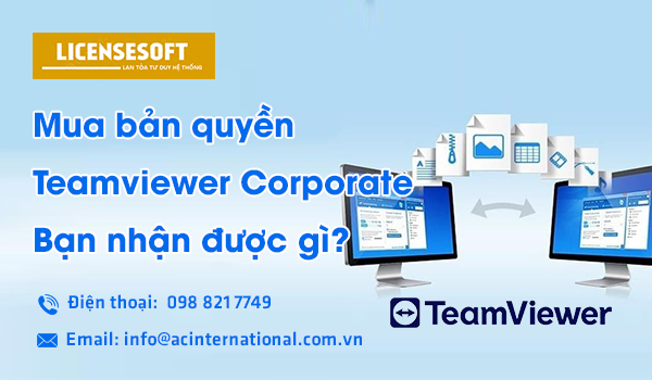 Teamviewer Corporate banner