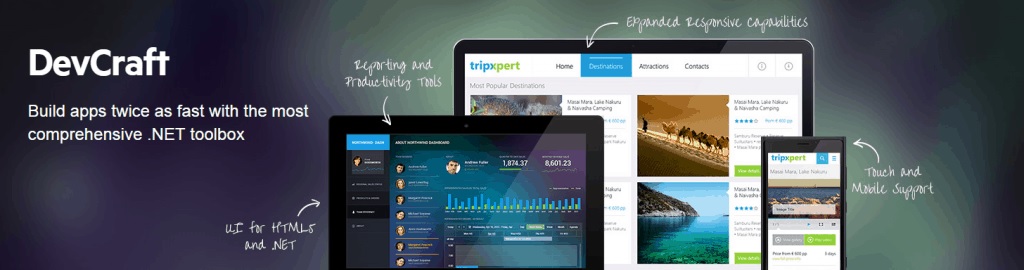 Telerik DevCraft Web