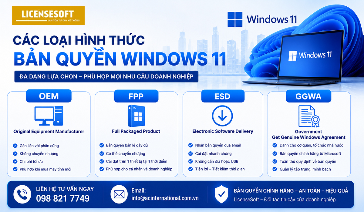 Các hình thức cấp bản quyền Windows 11