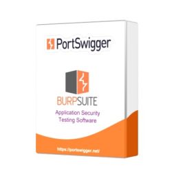 Burp Suite_box