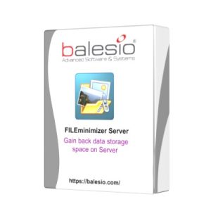 FILEminimizer-Server-box